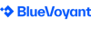 BlueVoyant (6)
