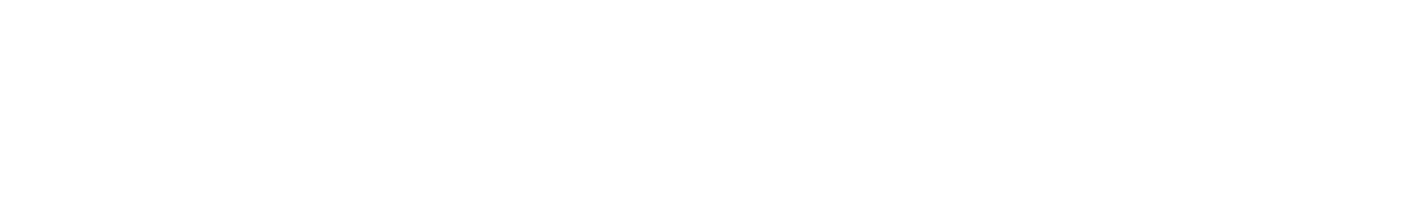 Everstream White Logo