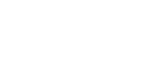 Netrio_Logo_All_White
