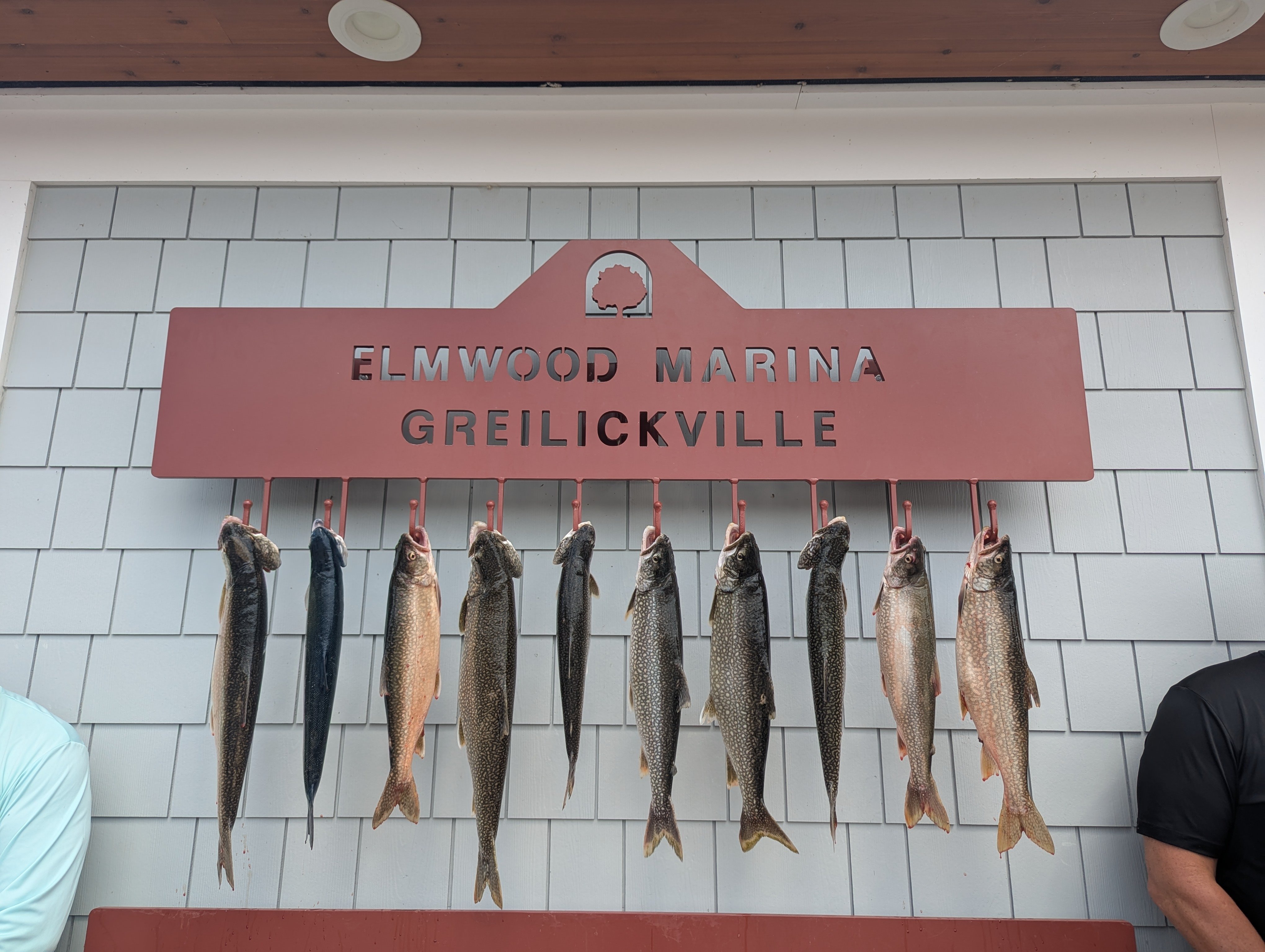 PXL_20250515_192938602