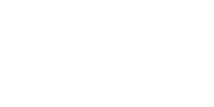 Spin Sci (8) width=