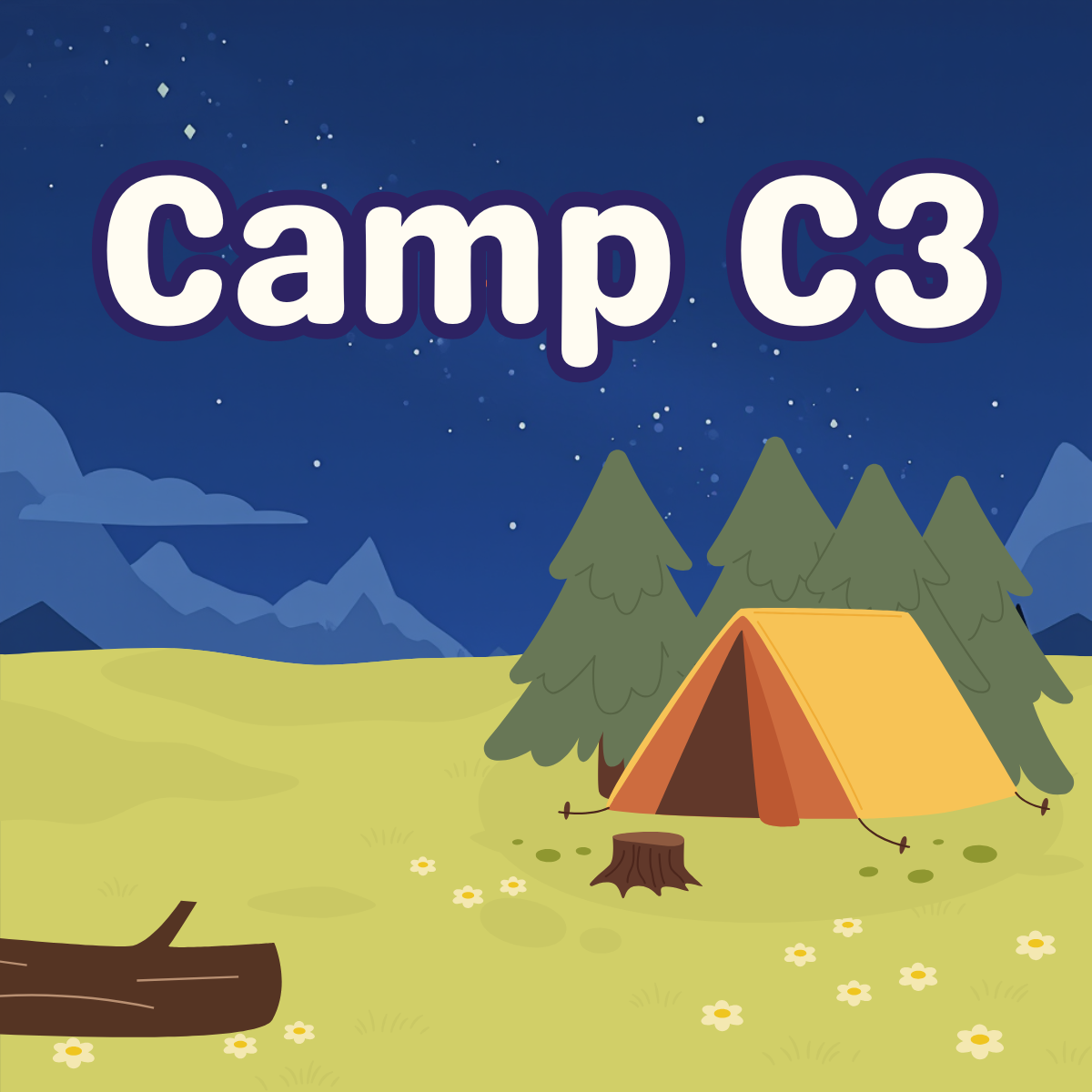 C3 Technology Advisors | Camp C3 Feedback