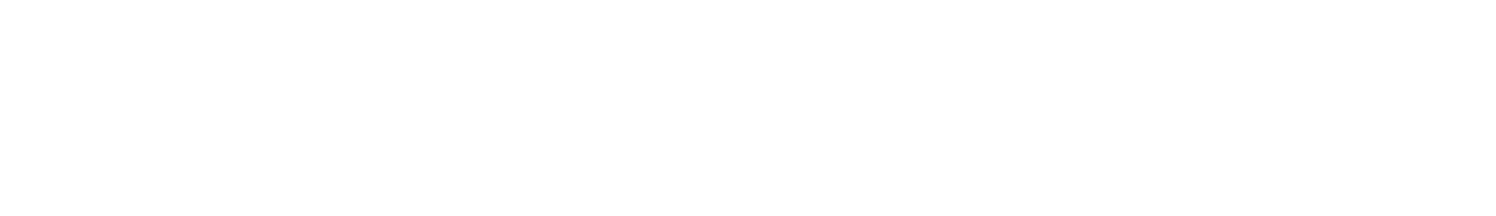 Everstream White Logo