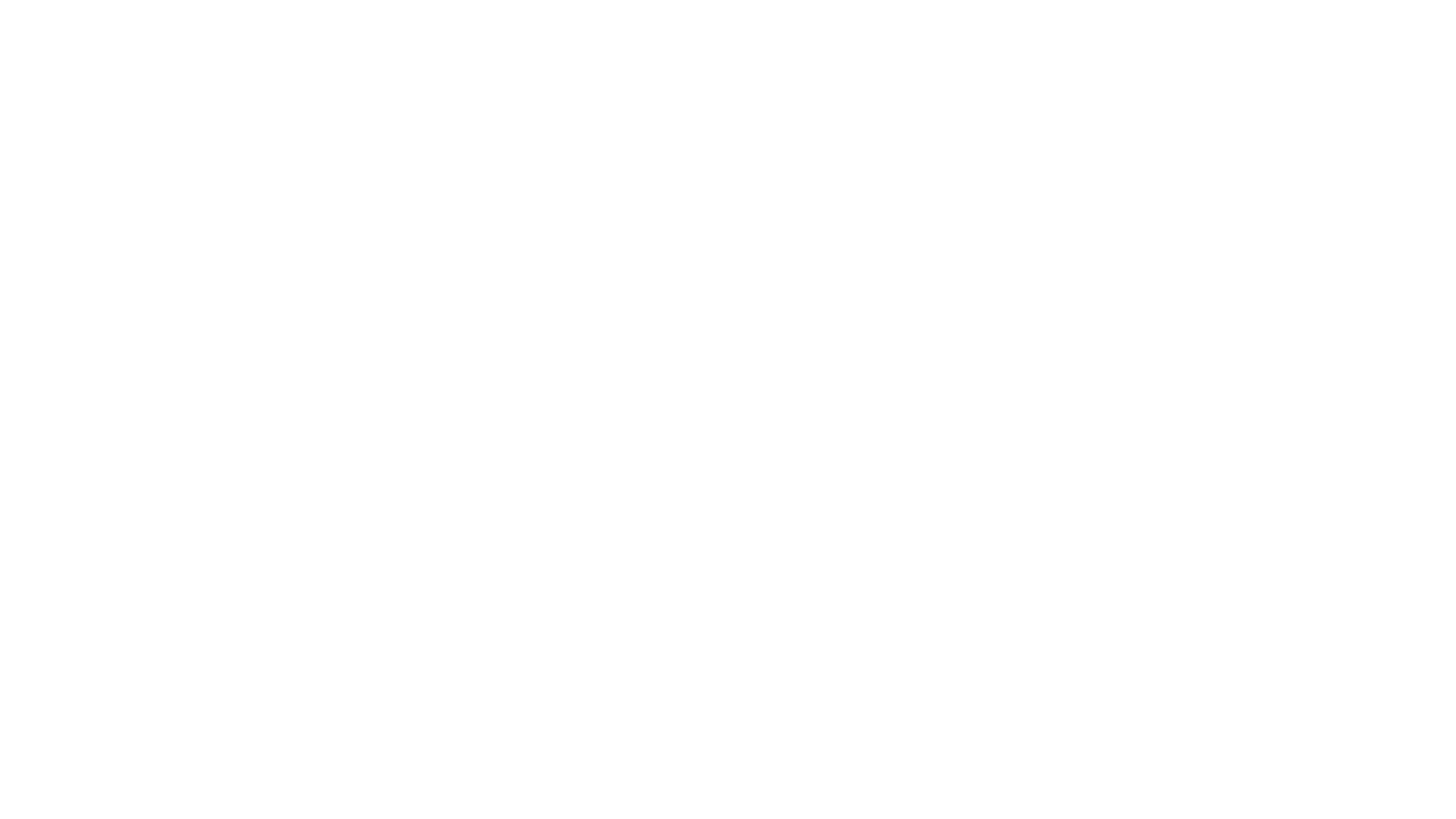 MCWT White Logo