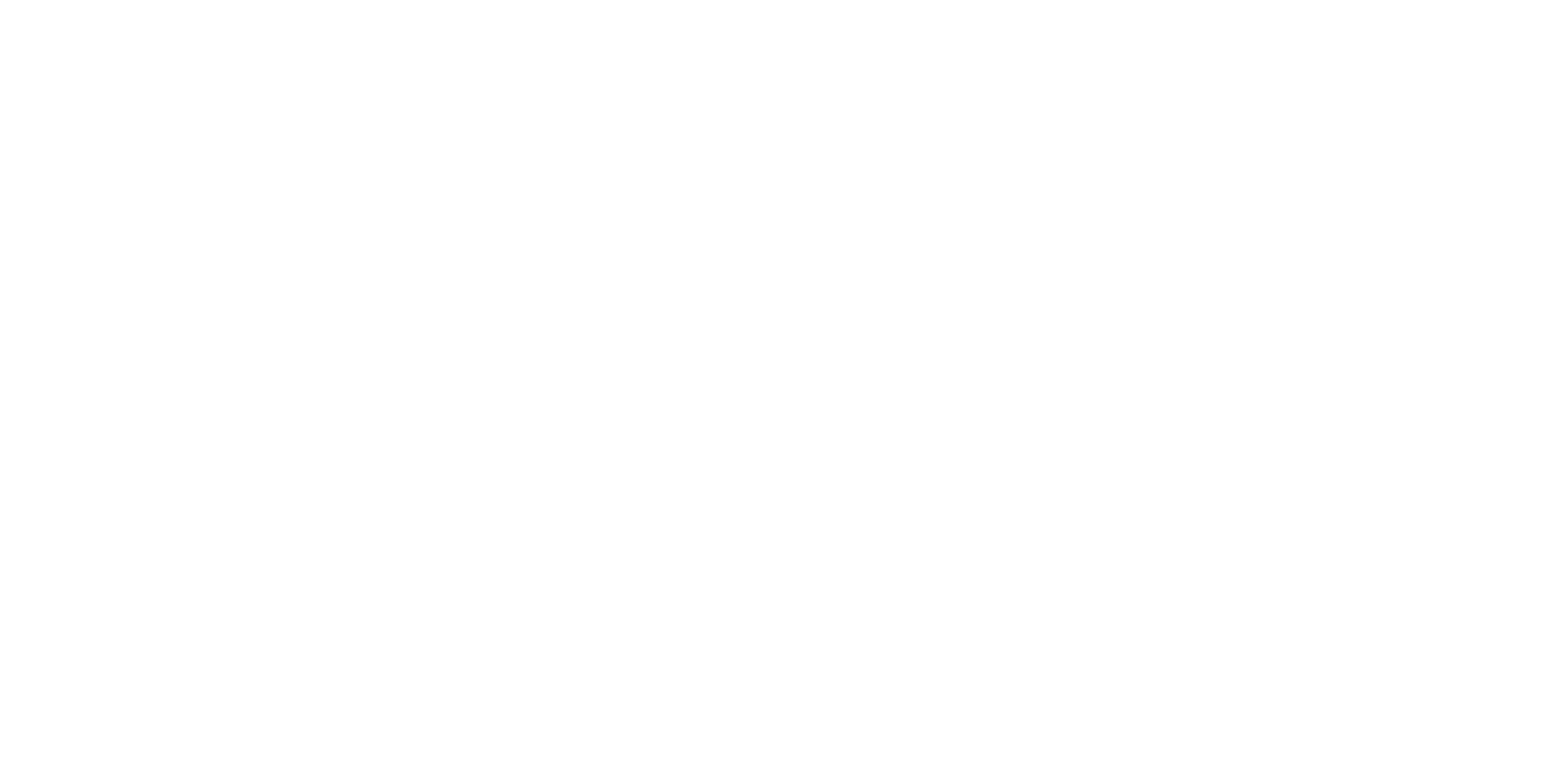 Netrio_Logo_All_White